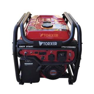 موتور برق تورکسر 8.3 کیلووات مدل TPG12500E2 استارت و هندلی